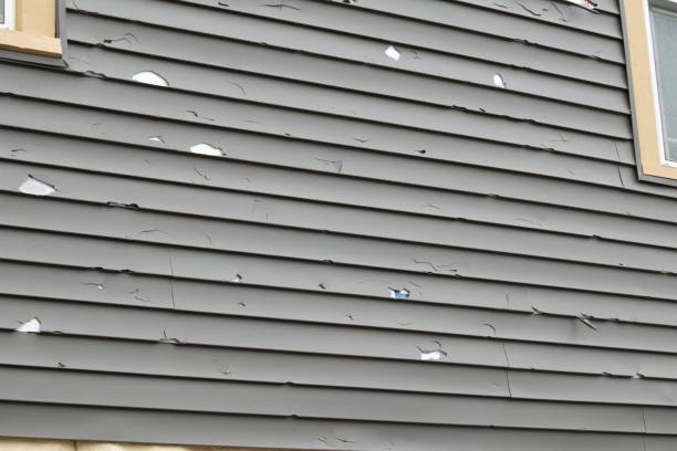 Best Steel Siding Installation  in Waynesboro, PA